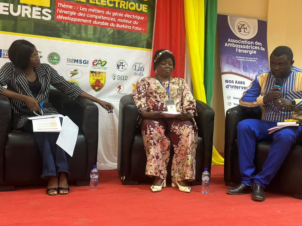 Techniciens, Ingénieurs, et Scientifiques du Burkina Faso - Ties-Bf